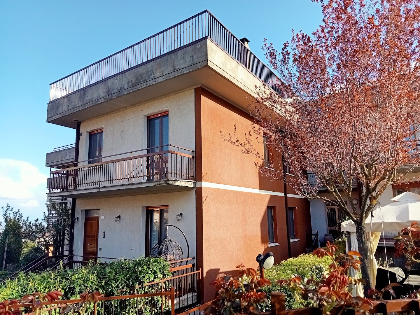 Torta in corso · Foto 1